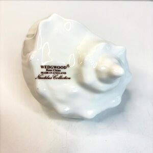 Vintage Wedgwood Bone China Collectible White Nautilus Collection Shell England